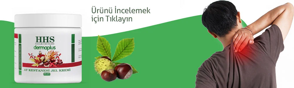 blog urun reklami at kestanesi