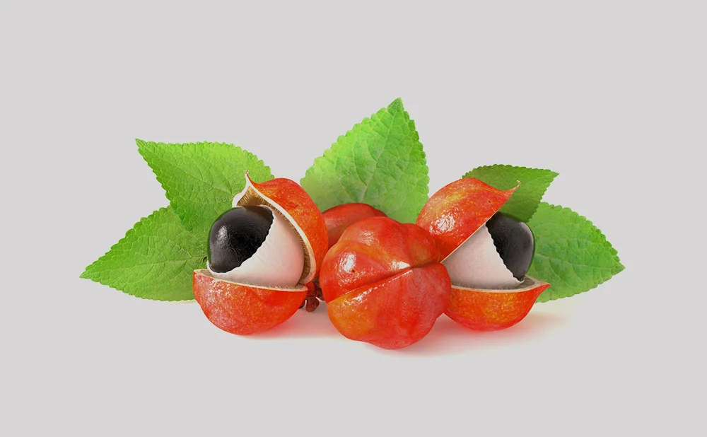Guarana Nedir? Faydaları, Kullanım Alanları ve Etkileri