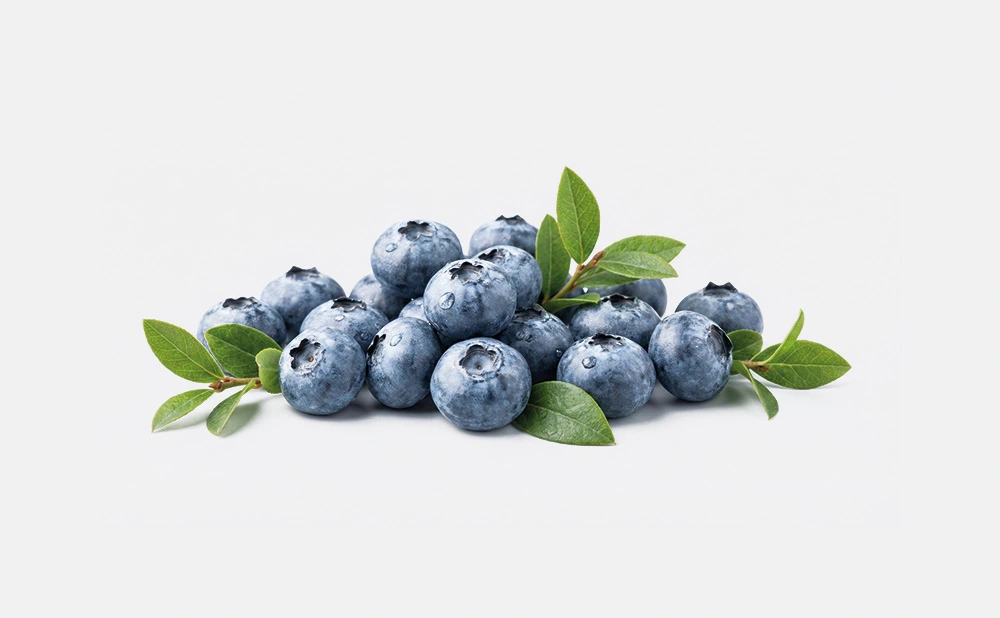 Antik Çağlardan Günümüze: Yaban Mersini